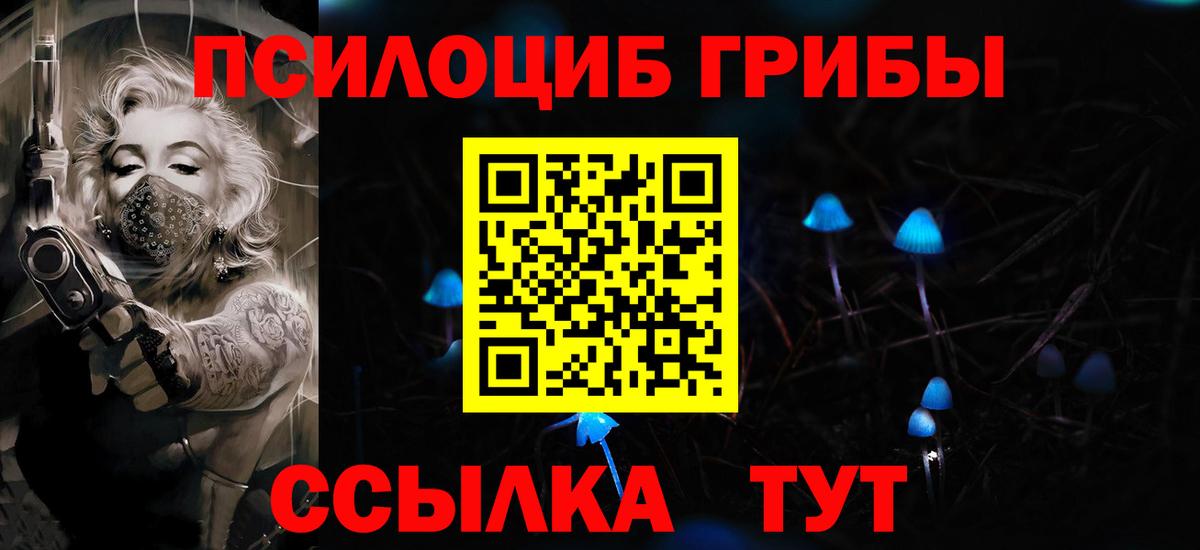 Кузнецк  Псилоцибиновые грибы ЛСД  Псилоцибиновые грибы Psilocybine cubensis  Вход с VPN 